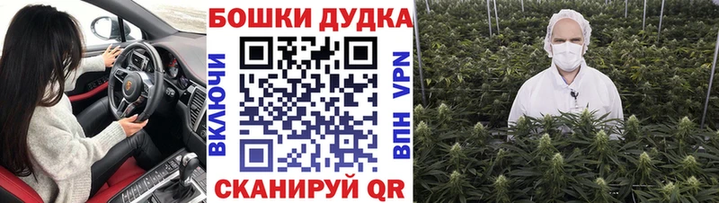 Бошки марихуана Ganja  hydra   Геленджик  цены наркотик 